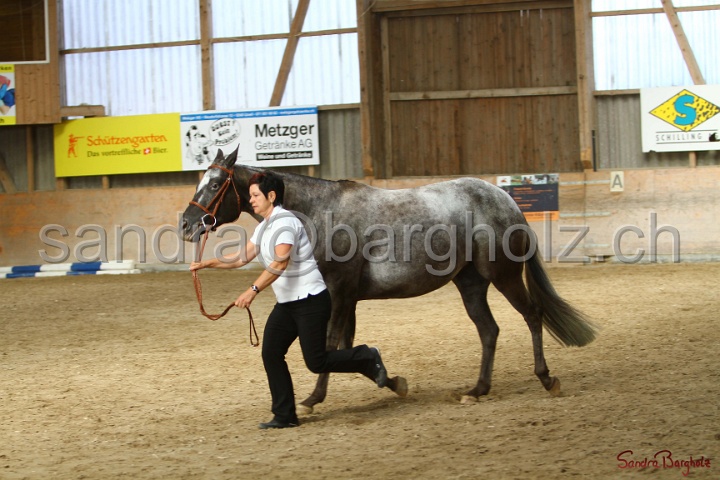 24-ApHC HIH_040.jpg